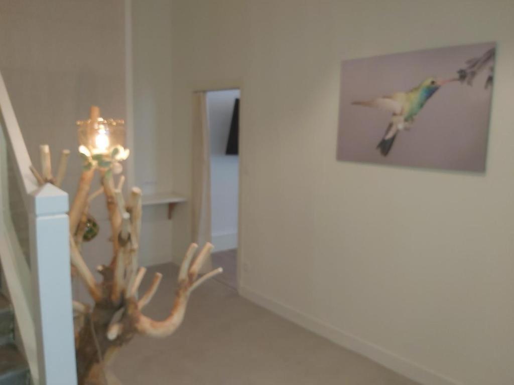 Apartmán Vichy Sejour Pokoj fotografie